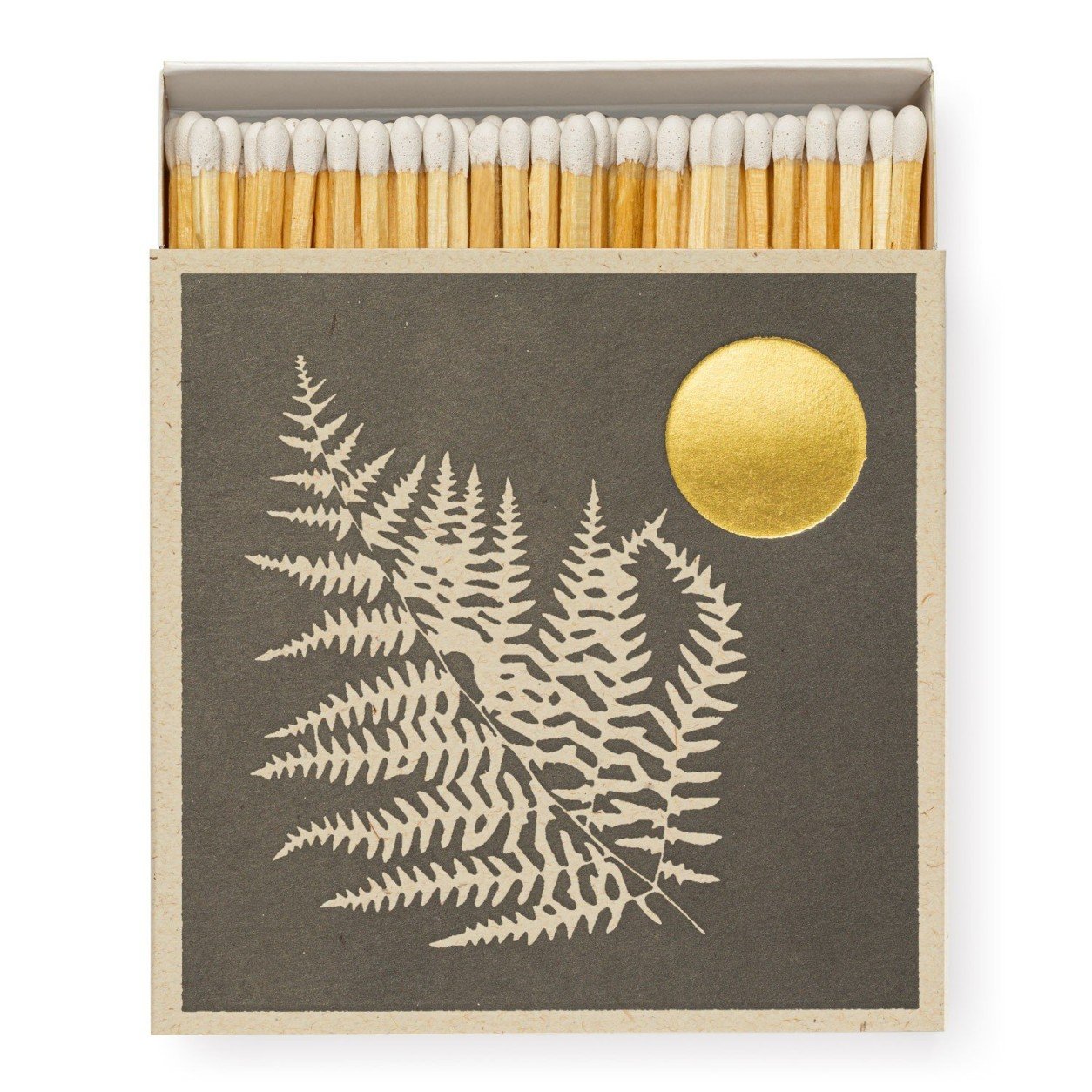 Archivist Boxed Square Matches Fern