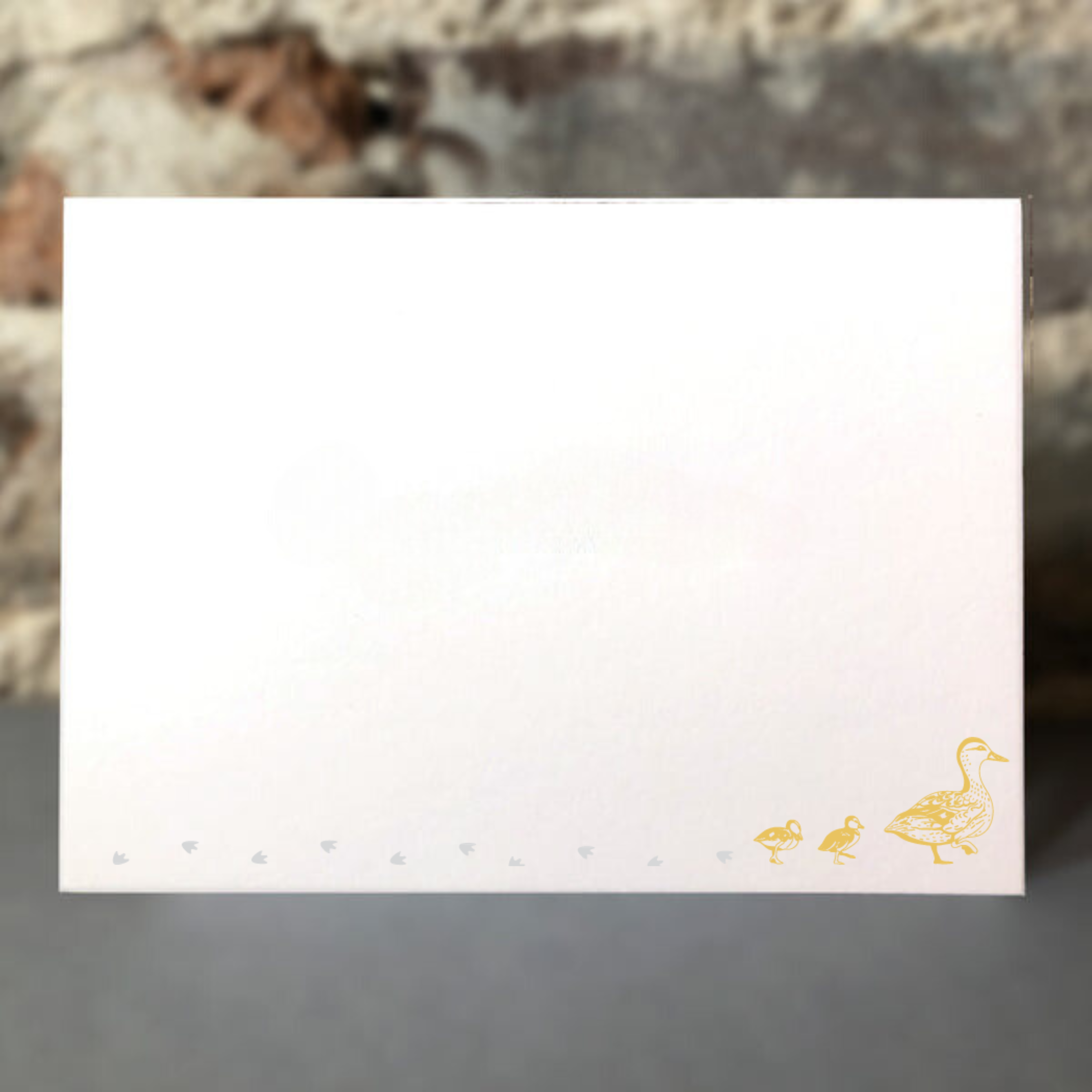 Ducks Jotter